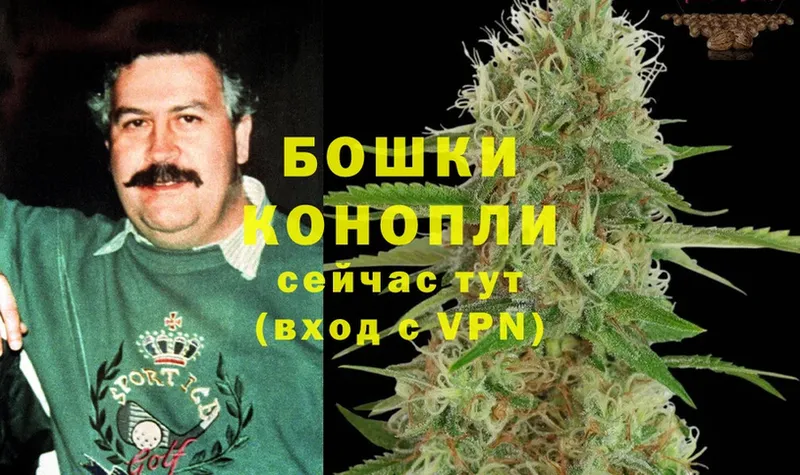 Бошки марихуана THC 21%  Среднеколымск 